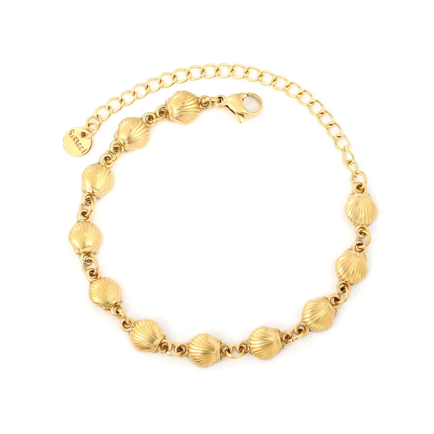 Wholesale Stainless Steel Botanical Shell Charm Bracelet