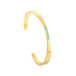 304L Stainless Steel Blue Zircon Bangle Supplier | PVD Gold Plating