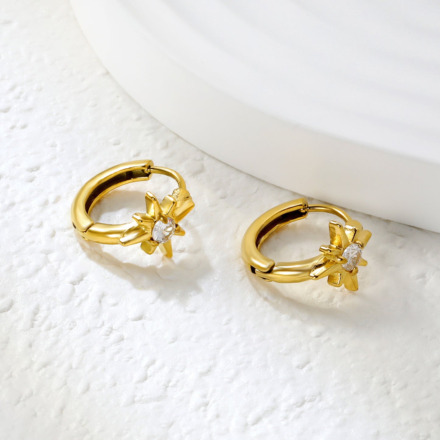 Wholesale Stainless Steel Luxe Octagram Zircon Hoop EarringsClose-up of the light-colored ambiance